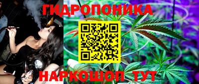 сатива Будённовск